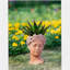 Pot à fleurs D7x11-184928759