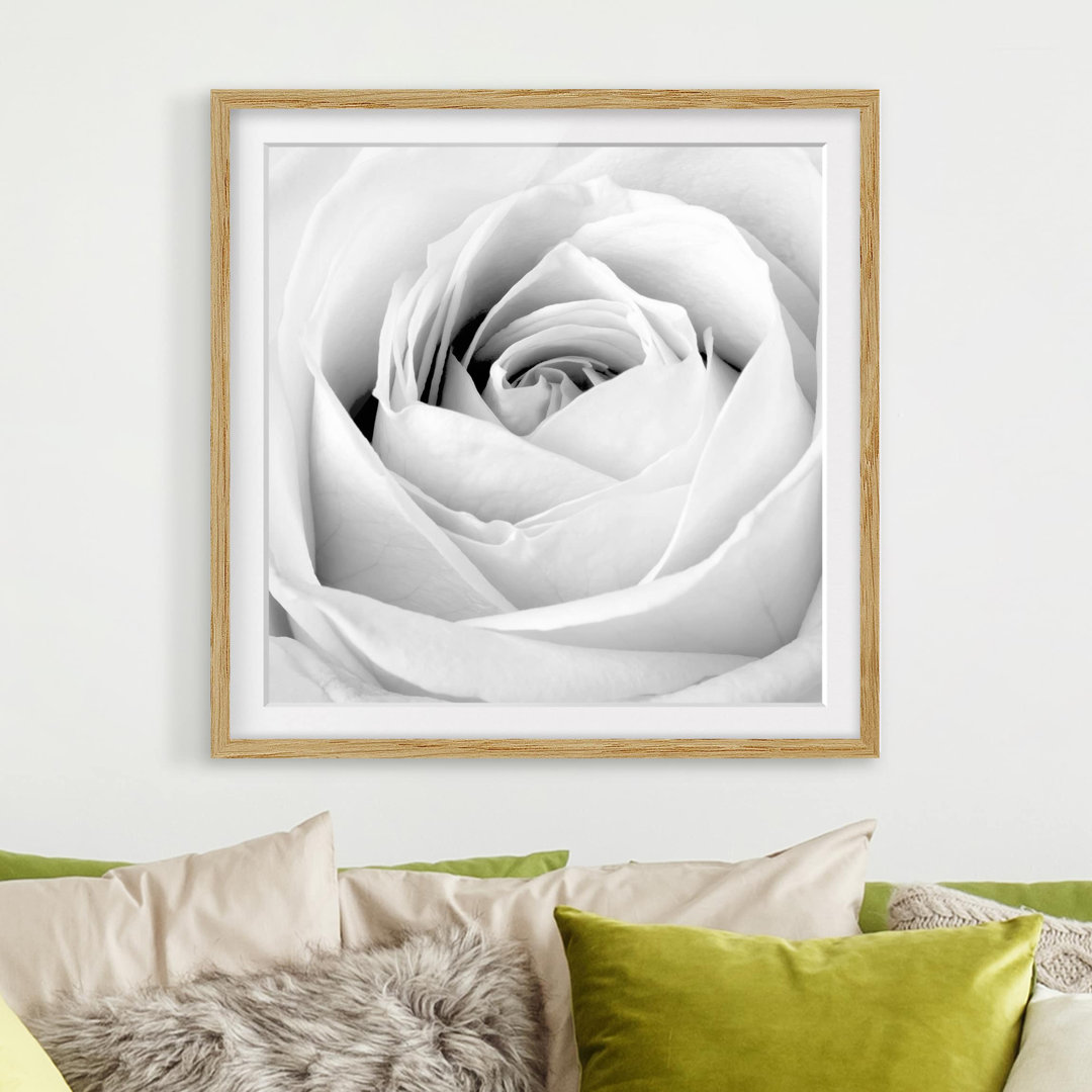 Gerahmtes Papierbild Rose Nahaufnahme