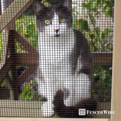 Fencer Wire Vinyl Coated 23 Gauge Welded Fence Wire Roll with Mesh Size, Multiple Sizes