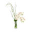 Arrangement d'orchidées avec vignes
