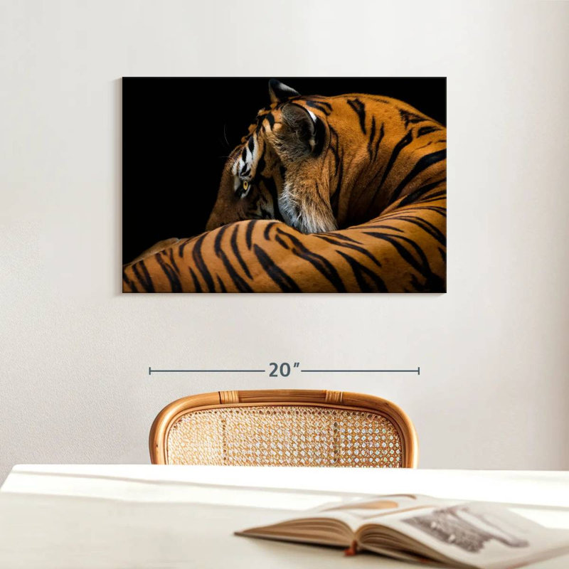 Brampt Majestic Tiger, 16" H x 24" W