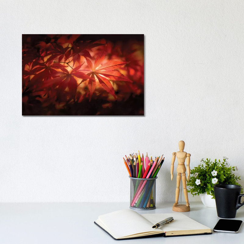 Red Light - Wrapped Canvas Print, 20.32 cm H x 30.48 cm W