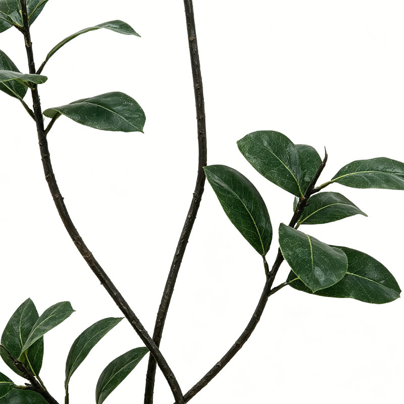 Plantes artificielles réalistes pour la décoration intérieure, Blanc