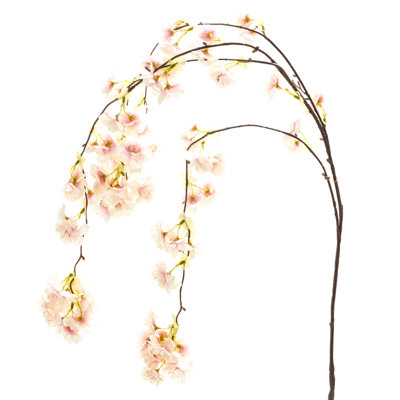 Cherry Blossom Arrangement
