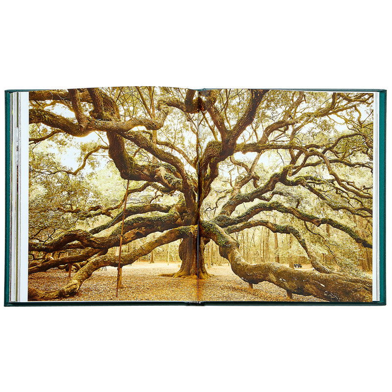 The Hidden Life Of Trees Leather Bound Book