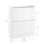 Armoire de rangement étroite à 2 tiroirs avec rangement à chaussures pour l'entrée, couloir, blanc-123186257