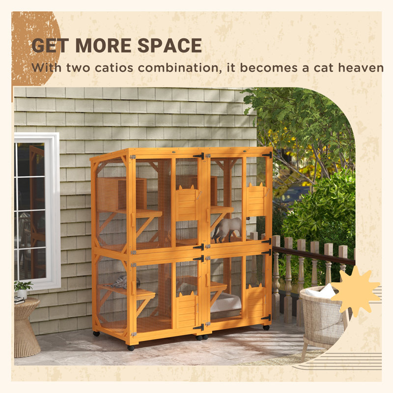 Cat Enclosures Outdoor Cat Becoming Inside Cat Freestyle Cat Tree