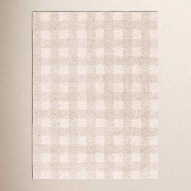 Barclay Plaid Hand Woven Flatweave Cotton Area Rug in Beige, Rectangle 6' x 9'