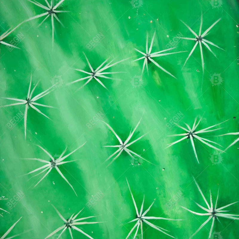 "Cactus gros plan" sur toile