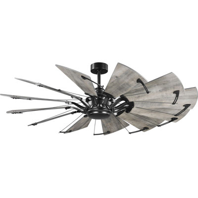 Springer 60'' Ceiling Fan