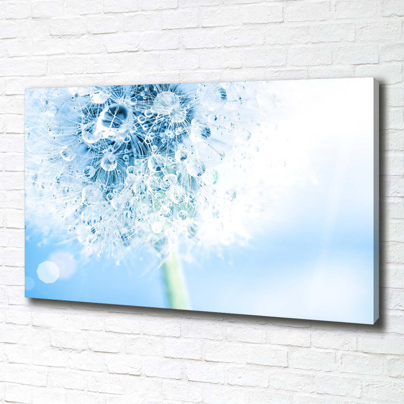 Dandelion - Wrapped Canvas Print