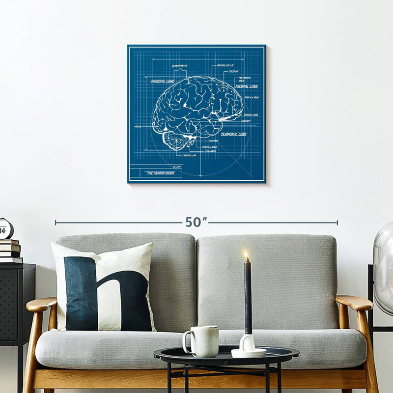 Schéma du cerveau humain Keiri, H 24 po x l 24 po