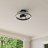 Burnett 20'' Ceiling Fan with LED Lights-4865440