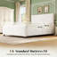 Velvet Upholstered Platform Bed with 4 Storage Drawers and Channel-Tufted Headboard-132393737-135767419