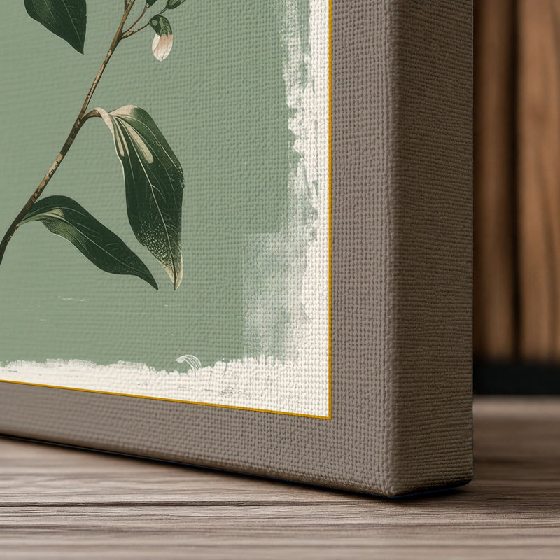 White Flowering Study Botanical - Wrapped Canvas, 24x16 - 61.0 x 40.6 cm, Taupe Border