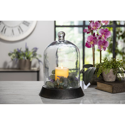 Cloche Or Water Globe