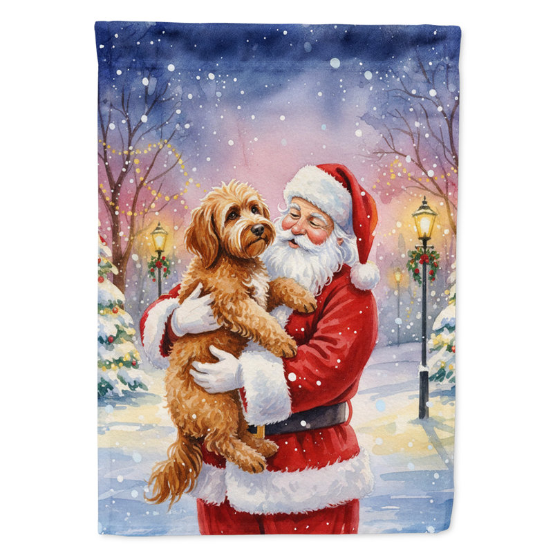 Labradoodle avec le drapeau de la maison du Père Noël, Taille de la maison, Labradoodle