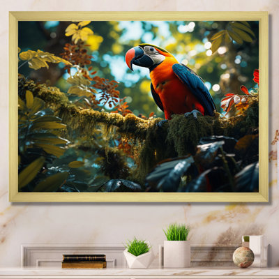 " Macaw South America Jungle Symphony "