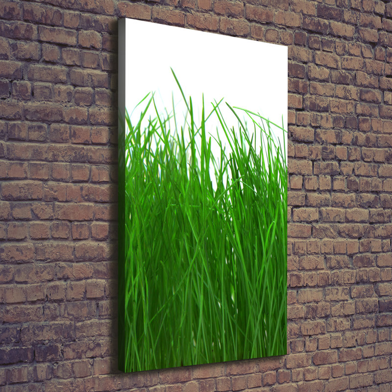 Grass - Wrapped Canvas Print