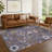 Machine Washable Indoor/Outdoor Chantille ACN2458 Traditional Rug-1152751349-1152751350