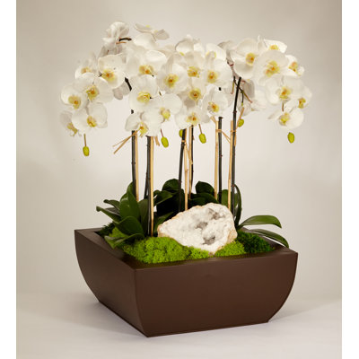 Orchid and Geode Centerpiece in Metal Planter