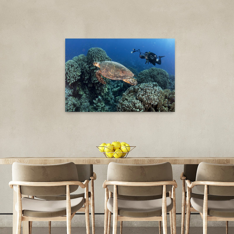 Tortue sous-marine et tortue de plongeur, impression d'art mural nature océan, H 24 po x l 36 po