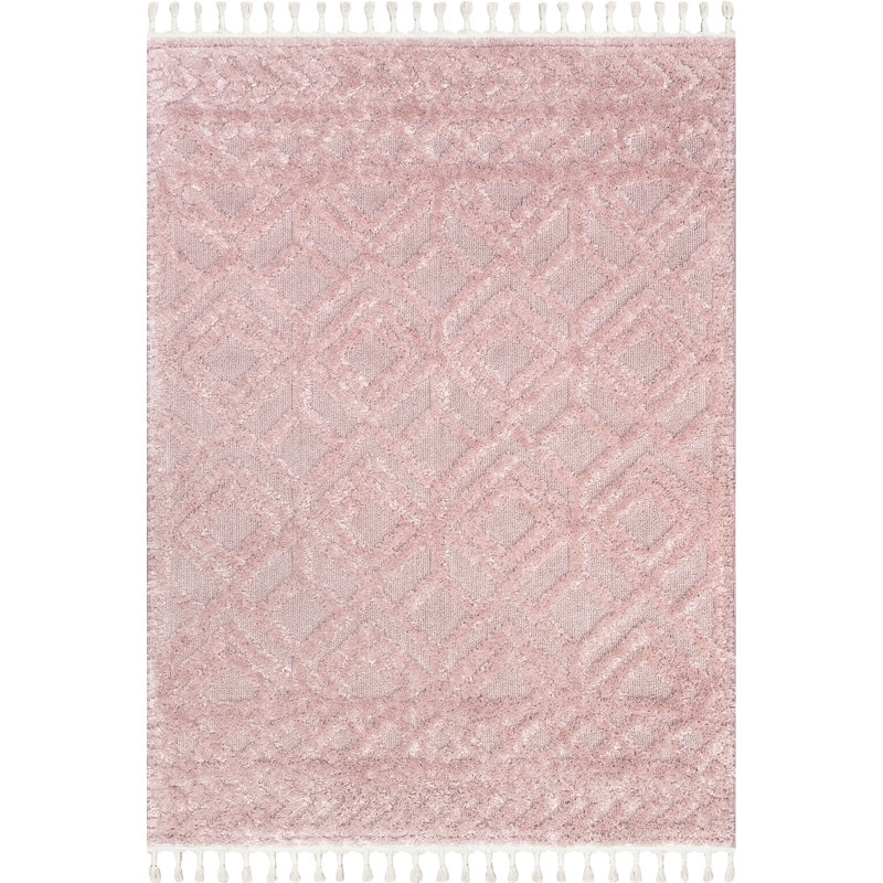 Akia Lattice High/Low Tassel Area Rug, Rectangle 5'3" x 7'6"