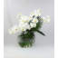 Phalaenopsis Orchid Floral Arrangement in Vase