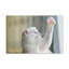 Illustration amusante d'un chat sauvage amusant-1711631625