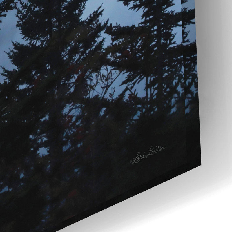  «Great Smoky Mountain Sunrise» par Lori Deiter, art mural en verre acrylique, 24 po x 16 po, H 16 po x l 24 po