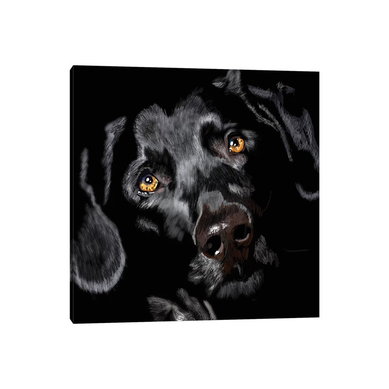 Black Lab On Black by Vicki Newton - Wrapped Canvas Painting, 66.04 cm H x 66.04 cm W x 1.91 cm D
