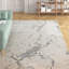 Aurora AU03 Solar Metallic Beige/Silver Area Rug-42147544