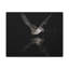 No Frame Print on Canvas-53544603