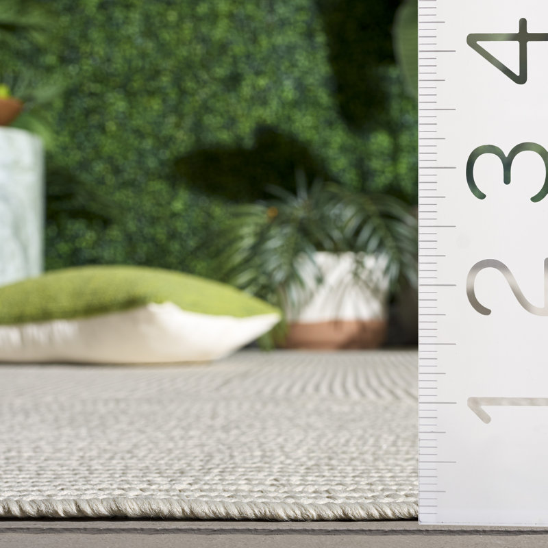 Tapis d'intérieur tissé à la main Amaya, Rectangle 2 pi 0 po x 3 pi 0 po