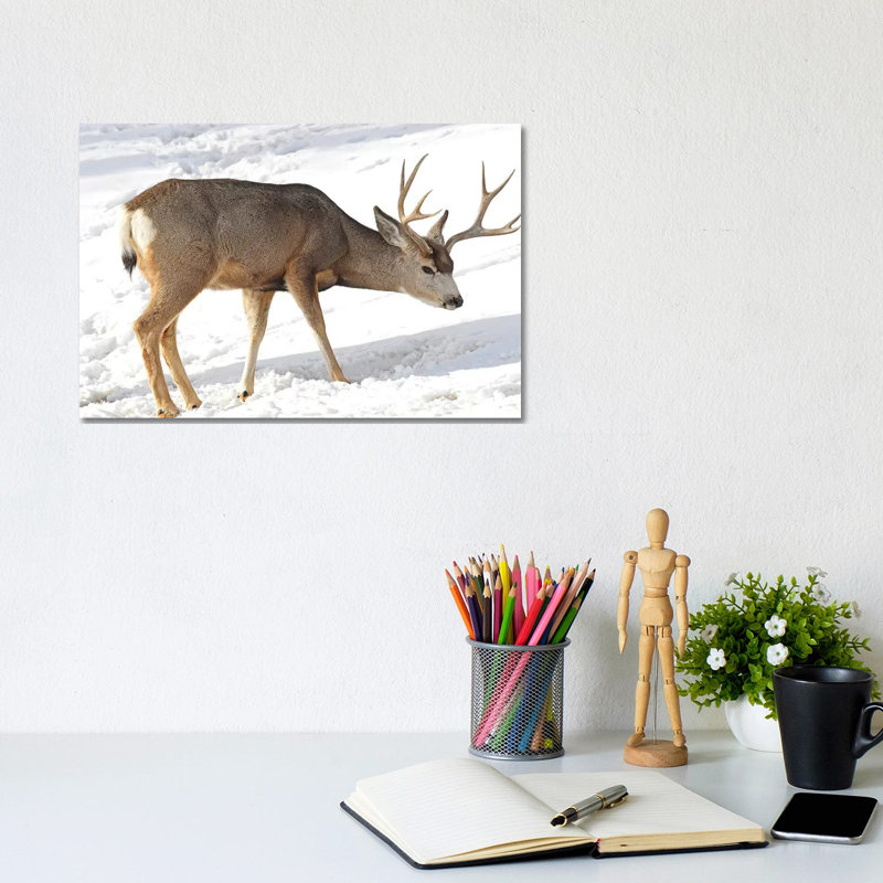 Mule Deer by Brian Wolf - Wrapped Canvas Print, 20.32 cm H x 30.48 cm W