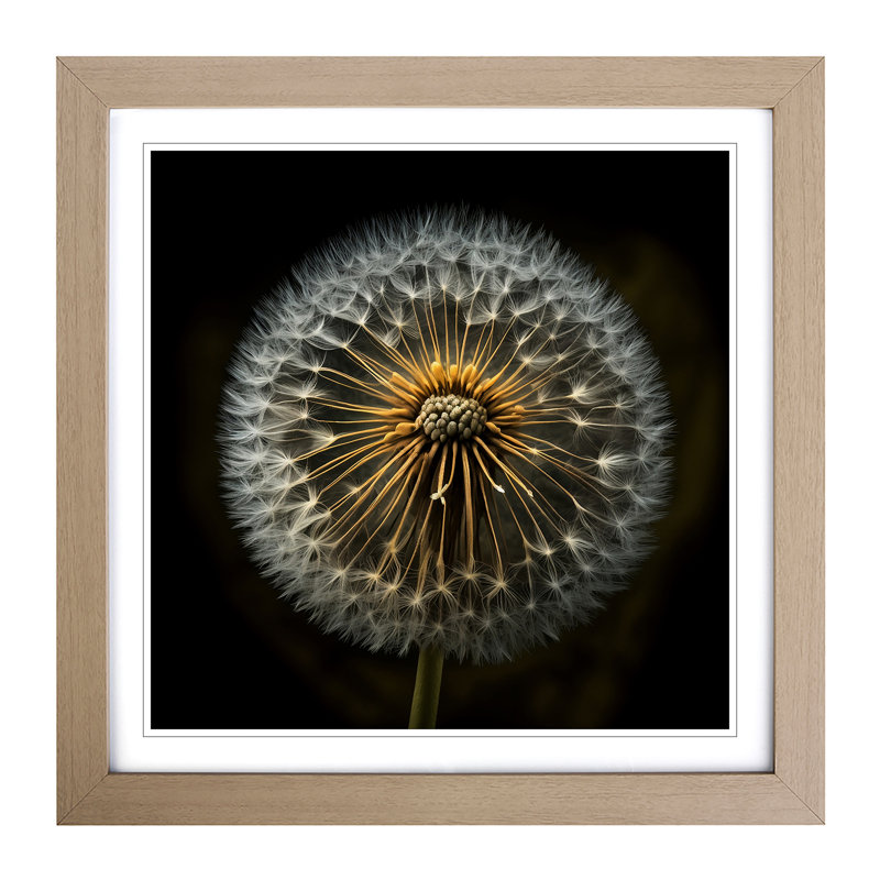 Dandelion Photograph No.1 - Framed Print, Oak