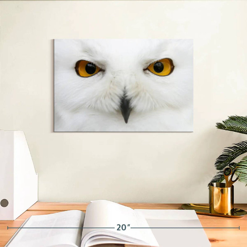 Brampt yeux de chouette des neiges, H 8 po x l 12 po