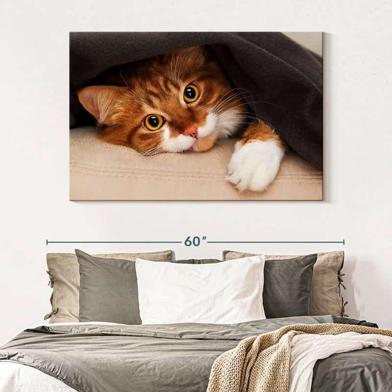 Crowle Cozy Cat, H 34 po x l 51 po