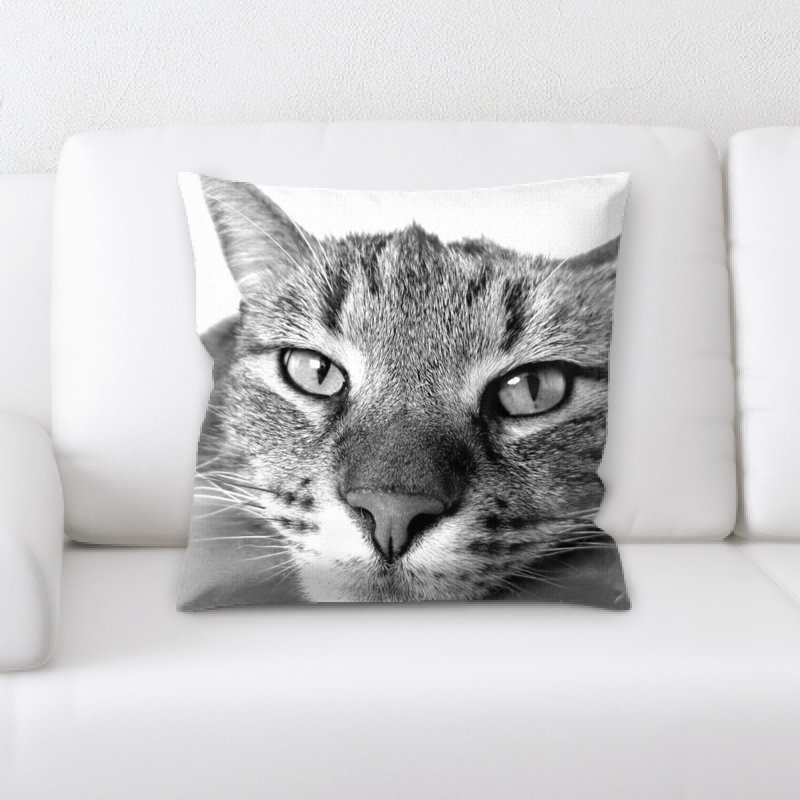 Coussin pour chat
