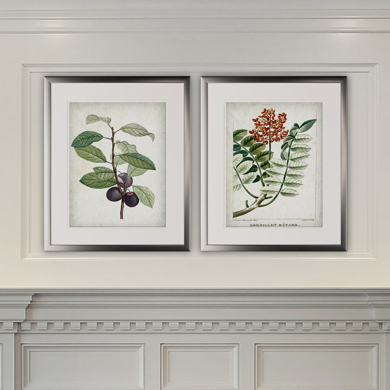 «Vintage Botanical Sketch X», ensemble de 2 reproductions de peintures à l'acrylique encadrées, Cadre argenté