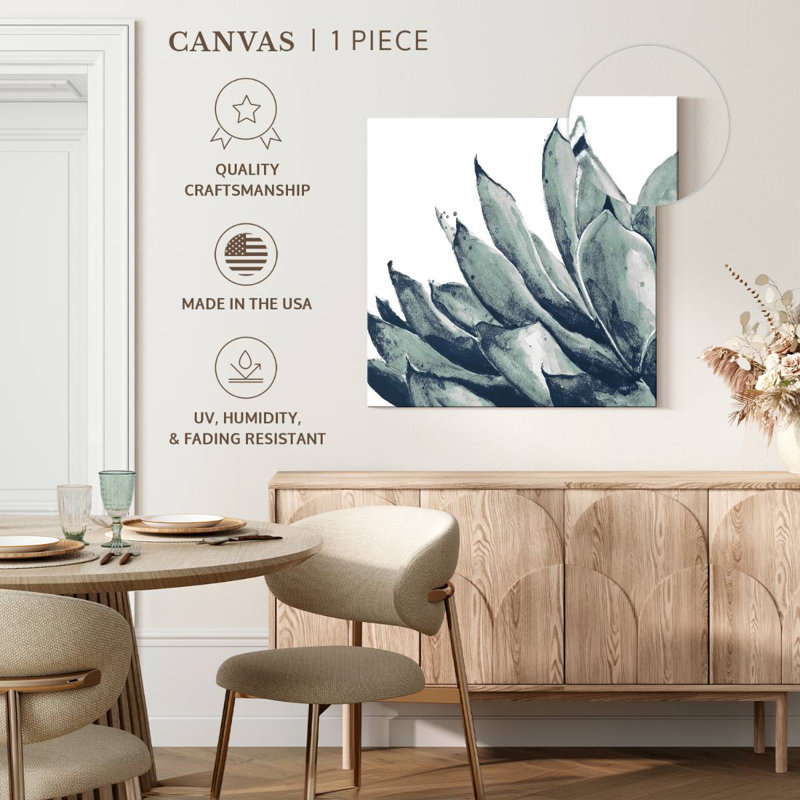 Agave bleu Harnek sur fond blanc I, H 10 po x l 10 po