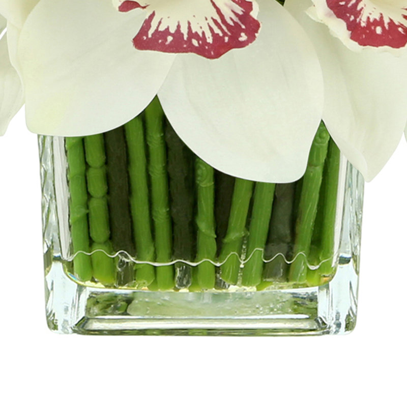 Orchidée Lehn dans un vase en verre, Blanc