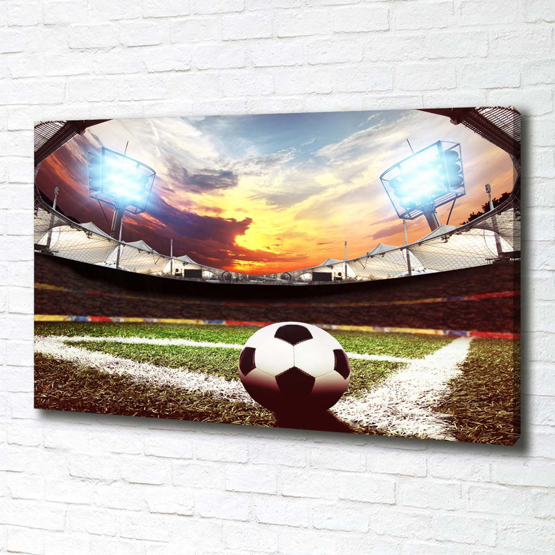 Ball in the stadium 1 Piece Wrapped Canvas Wall Art