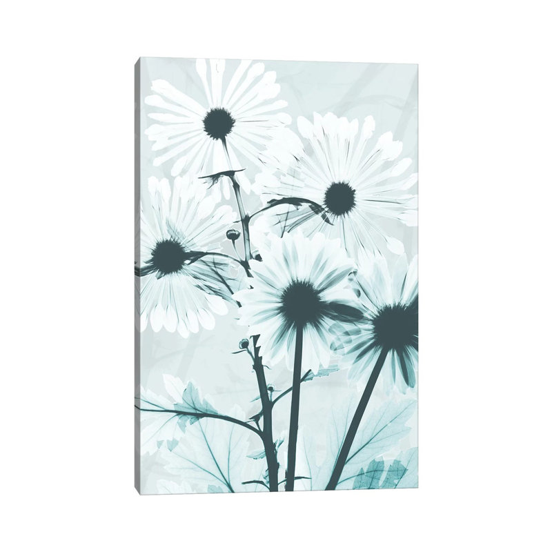 Gerbera Crystalis I by Albert Koetsier - Wrapped Canvas Print, 20.32 cm H x 30.48 cm W