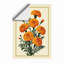 Orange Carnations Botanical - Framed Print-116835150-116835159