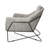 Recie Lounge Chair With Toughened Iron Frame-153846231