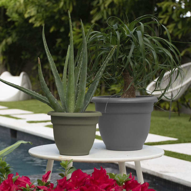 Pot à fleurs intérieur / extérieur Traditional, H 8,5 po x l 11 po x P 11 po, Gris anthracite
