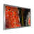 Impression argent sur toile encadrée