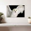 Hibou blanc Brampt-107685924