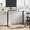 Adjustable Desk